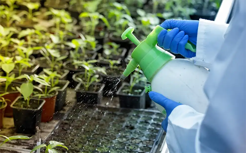 Top Biofertilizers for Yield Increase and Stress Tolerance